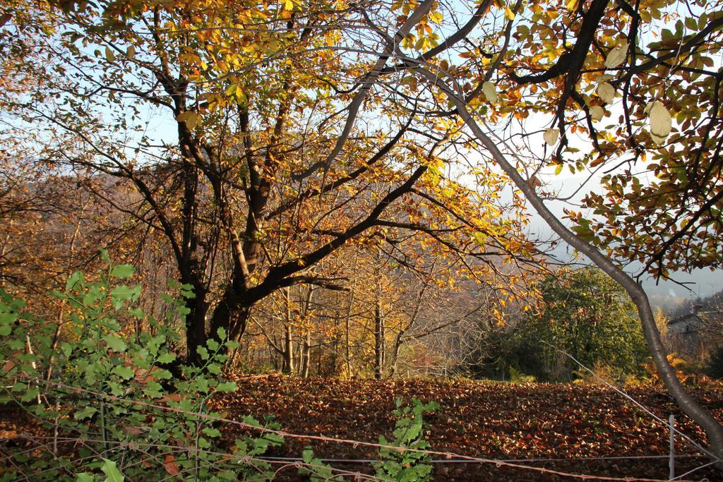 Villa Casa Al Sasso Bedigliora Exterior foto